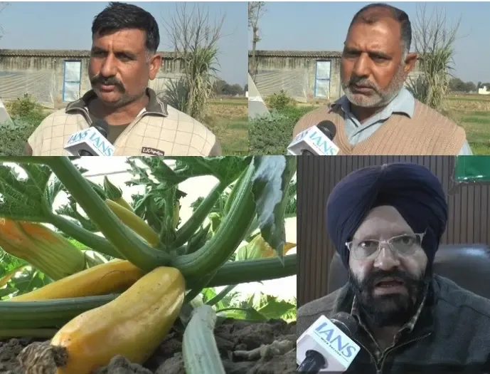 This administration is supporting farmers like a father nurtures his child: Samba farmer on cultivating exotic vegetables