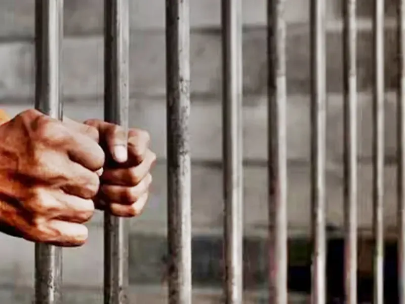 Three Individuals Sentenced to 7 Years for Supplying Arms to Maoists in Chhattisgarh