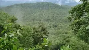Tiruvannamalai Landslide: Expert Panel to Determine Devotee Access to Annamalai Hills