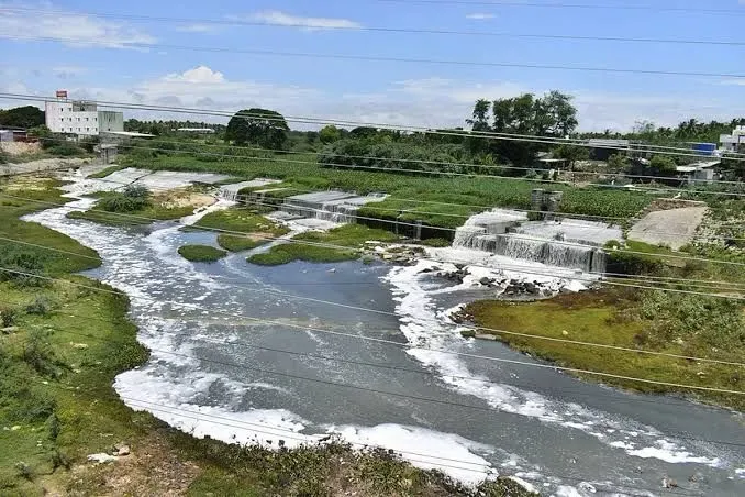 Will TN Farmers and Activists Succeed in Reviving the Noyyal River?