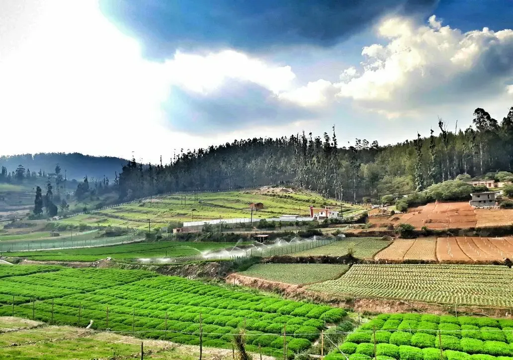 Tamil Nadu Government Unveils Hill Farmers Development Initiative in 2025-26 Agriculture Budget