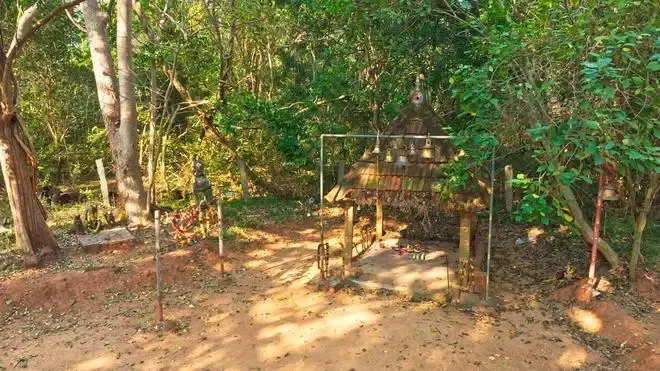 Tamil Nadu Government Recognizes Kasampatty Sacred Grove as Biodiversity Heritage Site