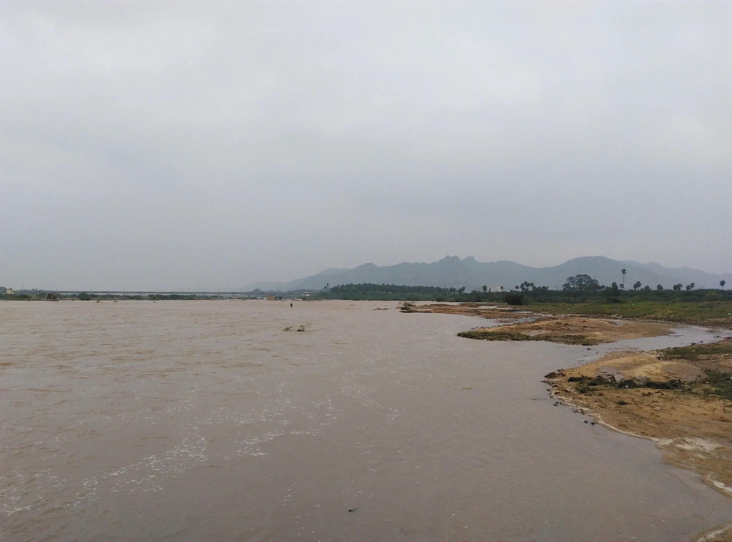 Tamil Nadu Government to Construct Dam on Palar River for Rs 70 Crore: Water Resources Minister Duraimurugan