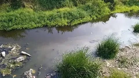 Will the TN Government Use Drones to Survey Nallaru River for Encroachments?