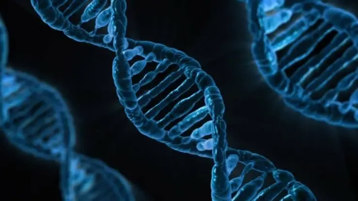 Will TN Launch Genetic Disorder Centres in Coimbatore and Madurai?
