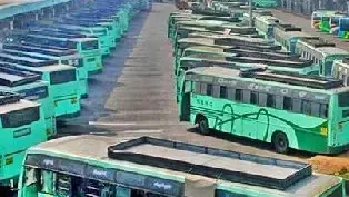 Tamil Nadu to Operate 10,109 Buses for Karthigai Deepam Celebration