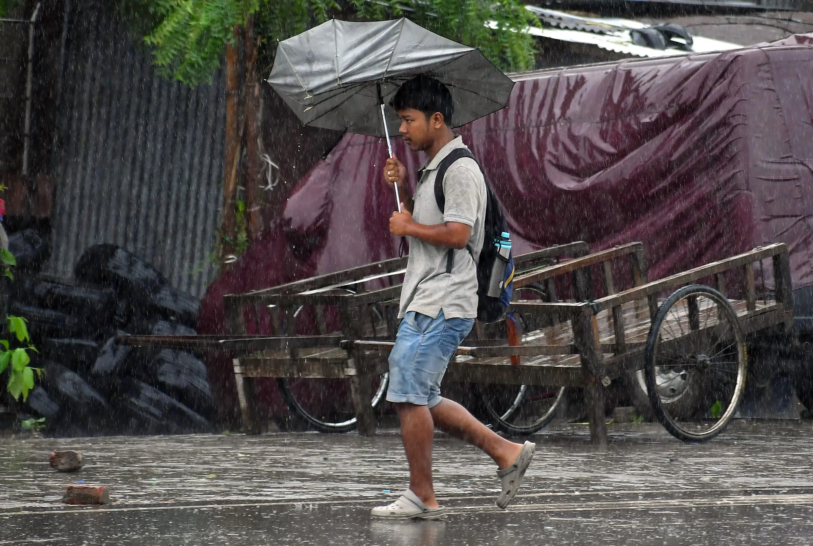What to Expect from TN Weather: Red Alert in Nilgiris and Coimbatore Ghat Areas?