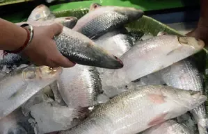 Investment of Rs 2,114.73 Crore to Enhance Fish Production in the Northeastern Region Since 2014-15