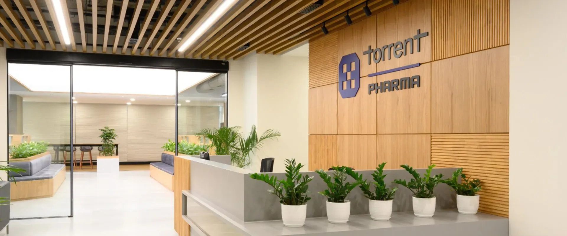Is Torrent Pharma set to acquire a controlling stake in JB Chemicals for Rs 25,689 crore?