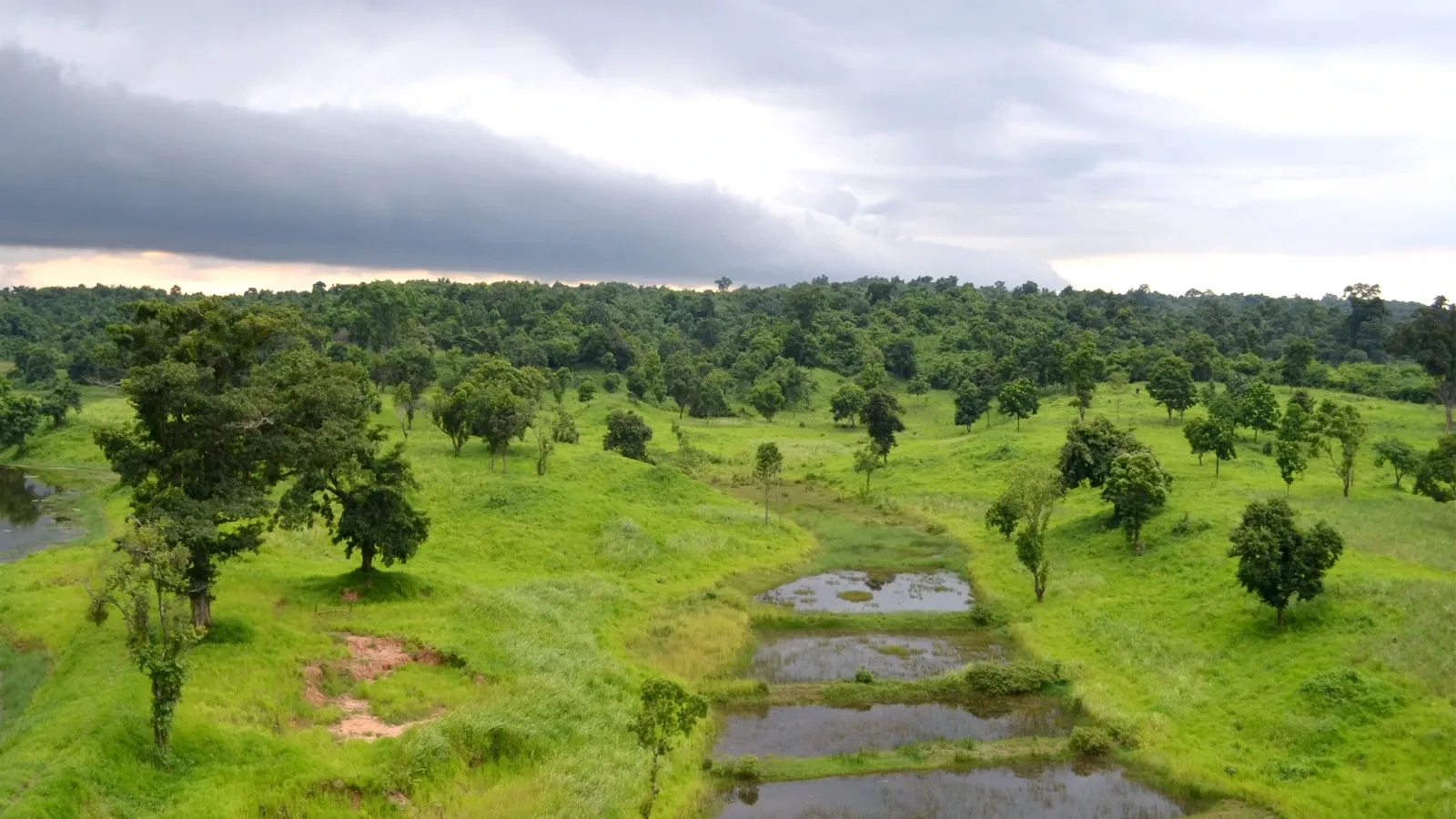 Will Tripura Establish Six Eco-Parks to Enhance Tourism and Protect Forests?