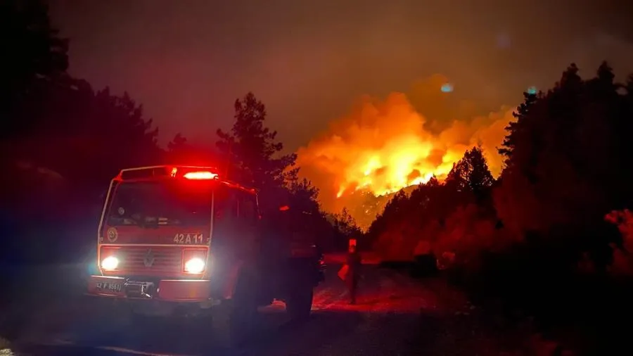 What Caused the Mass Evacuations Due to Wildfires in Turkey?