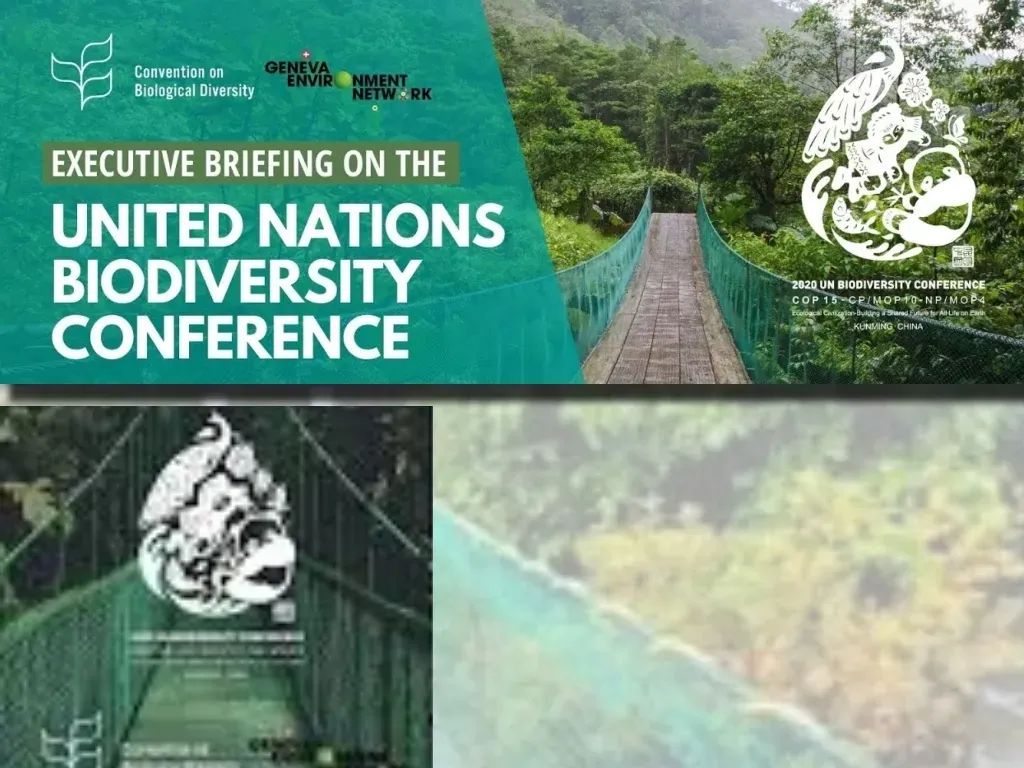 UN Biodiversity Conference Set to Resume in February in Rome