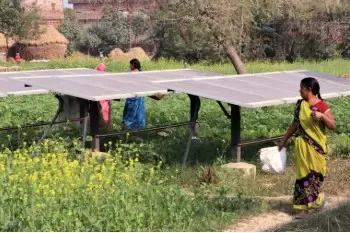Union Budget Prioritizes Green Economy: Experts Agree