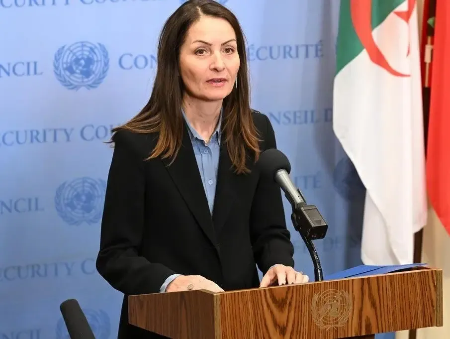 UNSC President Optimistic About Possible Peace in Ukraine Conflict