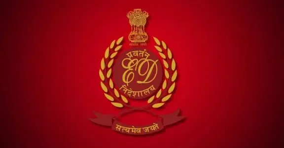 Why has the ED declared Rashid Naseem a fugitive in the UP ponzi scheme?