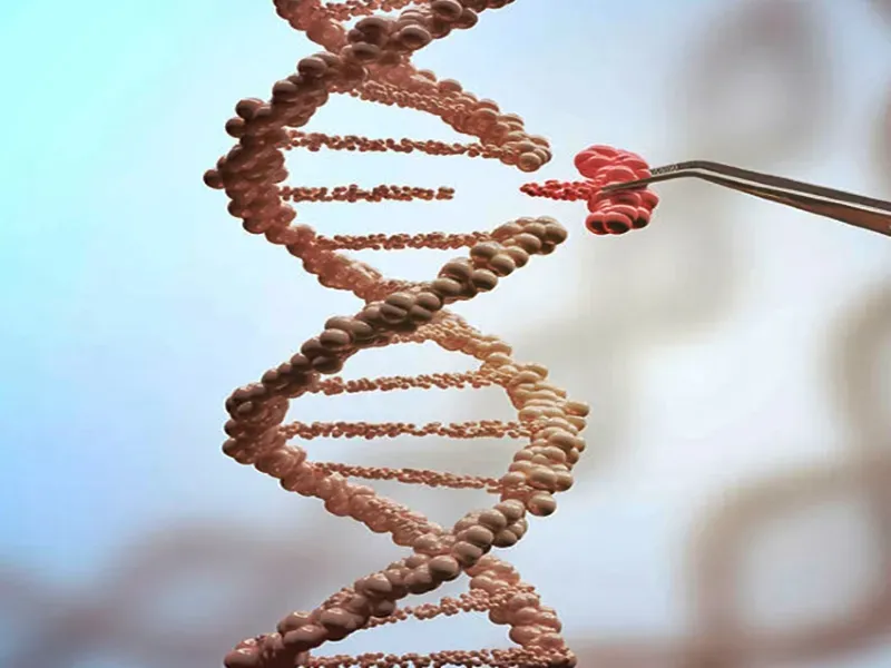 Scientists in the US Unveil Innovative CRISPR Toolkit for Remote Genome Editing
