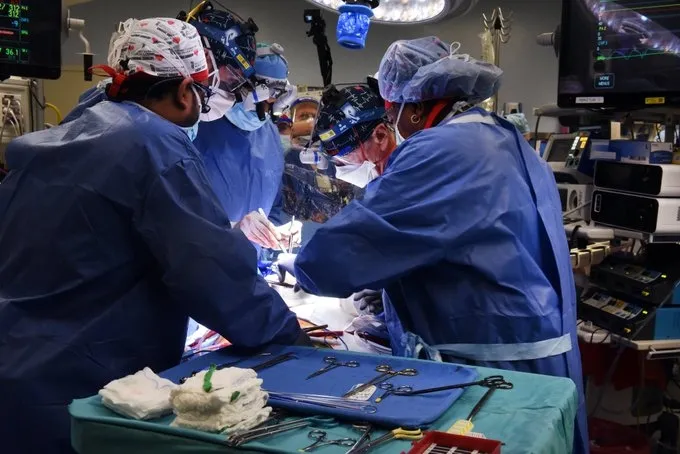 Fifth Successful Gene-Edited Pig Organ Transplant Achieved by US Surgeons