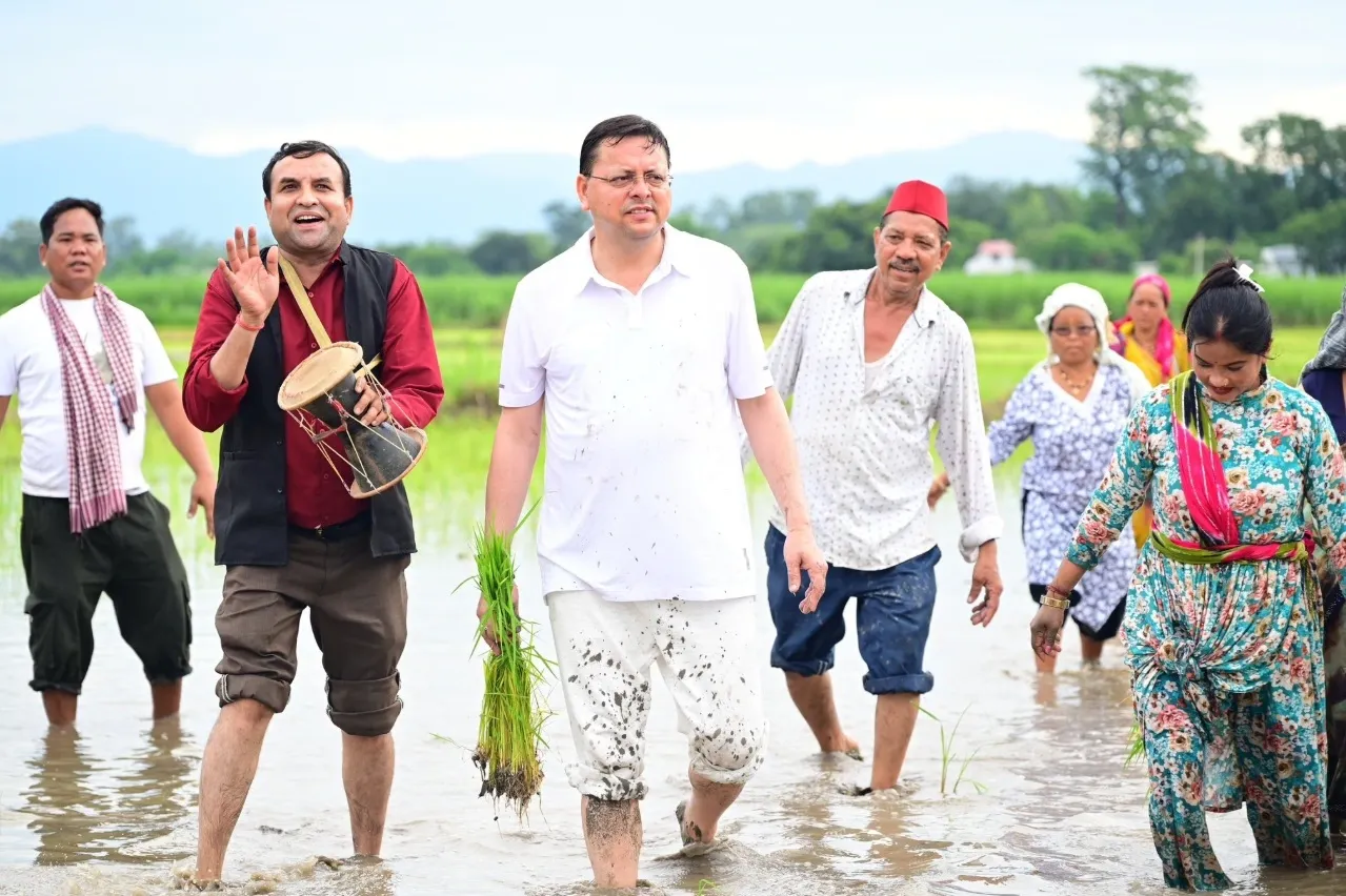 Why did Uttarakhand CM Pushkar Dhami plant paddy in Khatima?