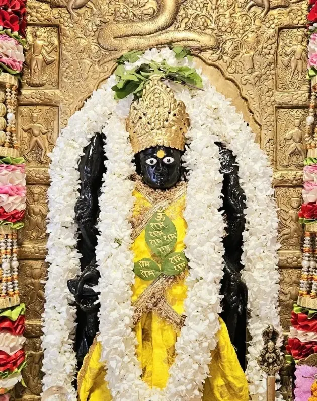 क्या है वासुदेव द्वादशी? भगवान विष्णु को प्रसन्न करने का विशेष दिन, जानें पूजा की विधि