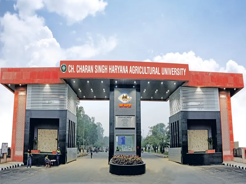 Inauguration of Vegetable Grafting Facility at Hisar University