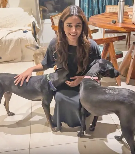 Should Wamiqa Gabbi's Call for Stray Dog Freedom Be Heard This Independence Day?