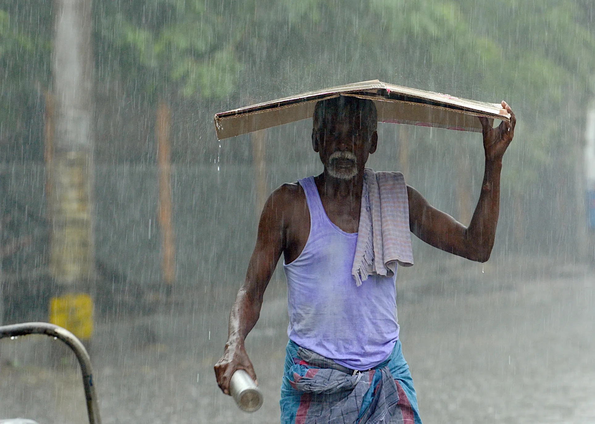 Why is the Water Level Rising So Rapidly in the Lower Bhavani Reservoir?