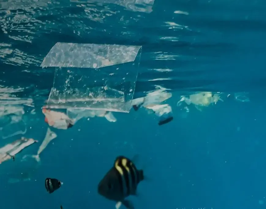 WEF 2025: 25 Nations Collaborate to Combat Global Plastic Pollution and Climate Change