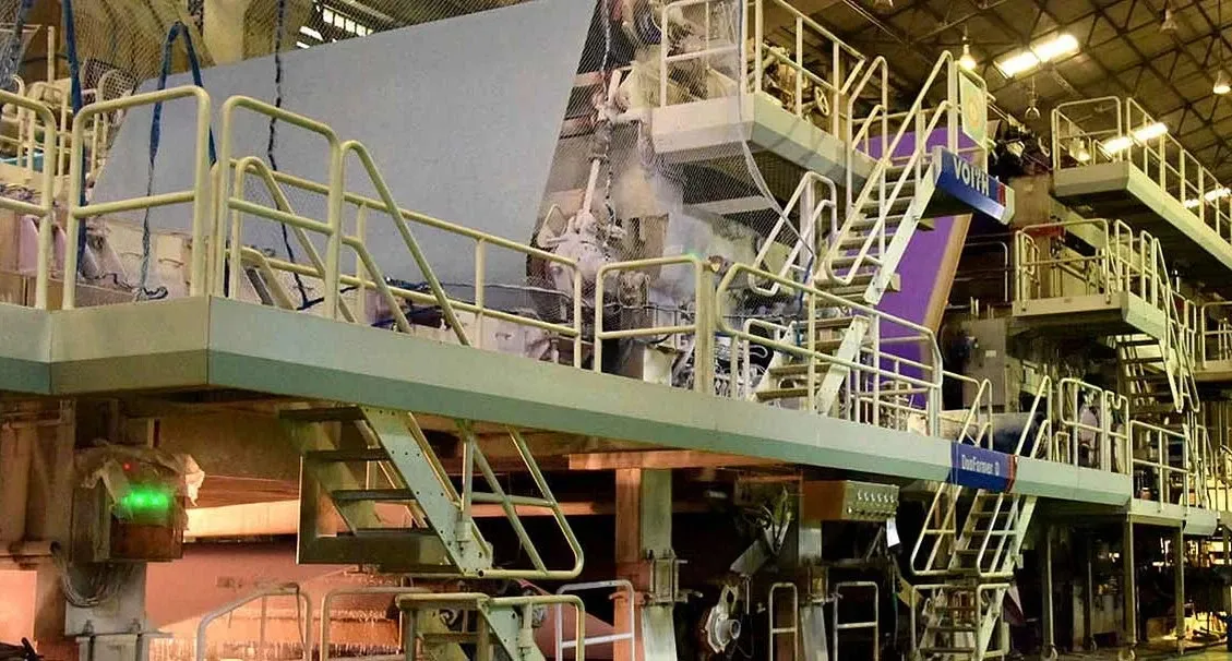 Why Did West Coast Paper Mills Experience a 64% Drop in Q4 Net Profit?