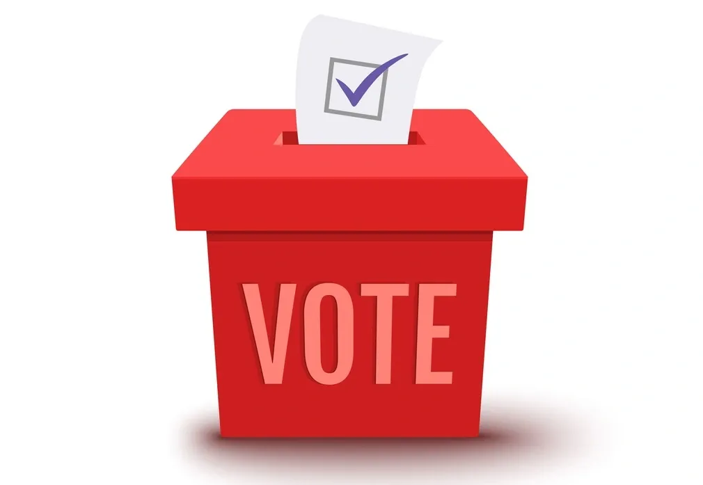 Should India Audit Voter Lists to Prevent Illegal Voting by Rohingya and Bangladeshi Immigrants?