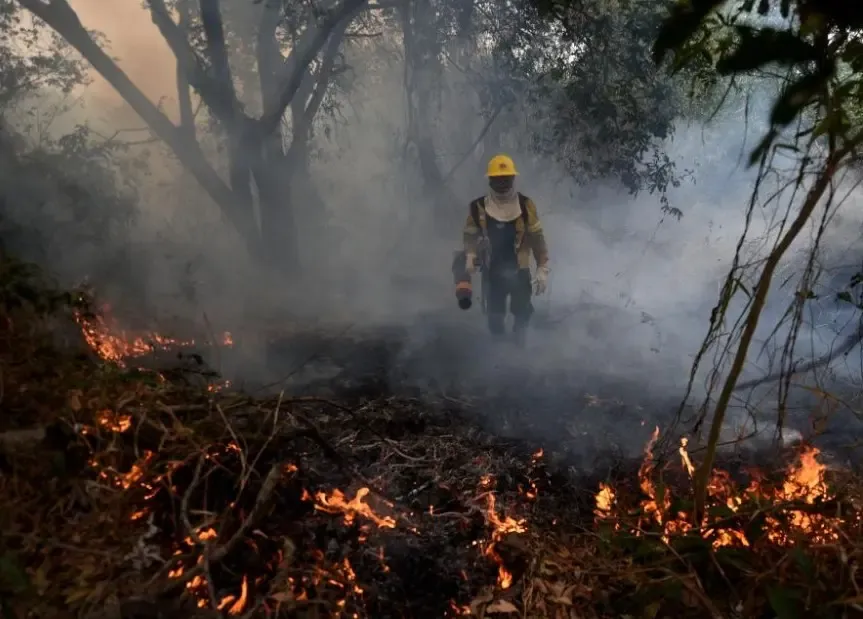 Wildfire Consumes 3,500 Hectares in Argentina's National Park