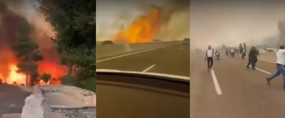 Is a Wildfire Devastating Israel and Causing a National Emergency?