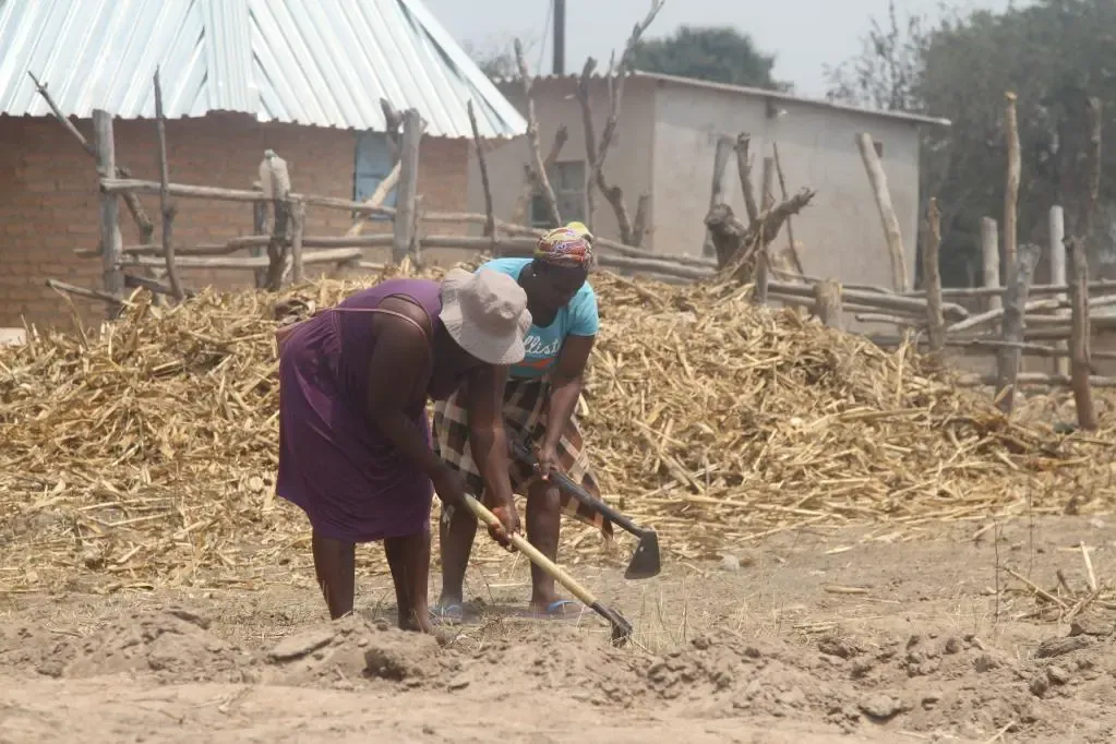 World Bank Cautions Zimbabwe on Climate-Related Economic Risks