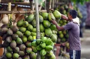 How will Kerala farmers benefit from a Rs 30 crore boost on World Coconut Day?