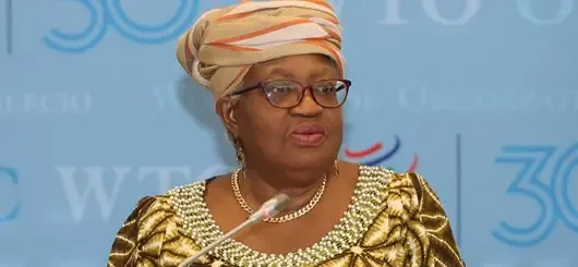 WTO Leader Emphasizes Learning from Historical Lessons Amid US Import Substitution Efforts