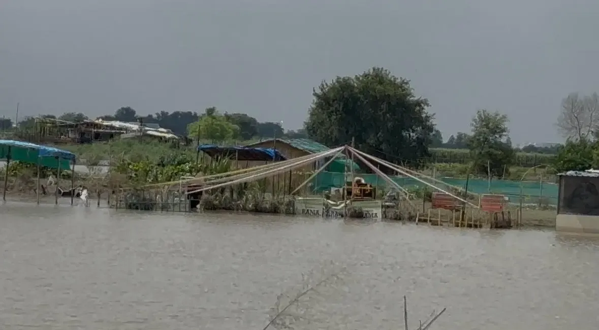 क्या यमुना में जलस्तर बढ़ने वाला है? डूब क्षेत्र में रहने वाले लोग और पशु सुरक्षित स्थानों पर पहुँचें: जिलाधिकारी