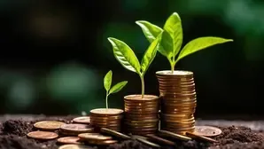 Year-End Review: Mutual Fund Sector's AUM Soars Over 500% in a Decade