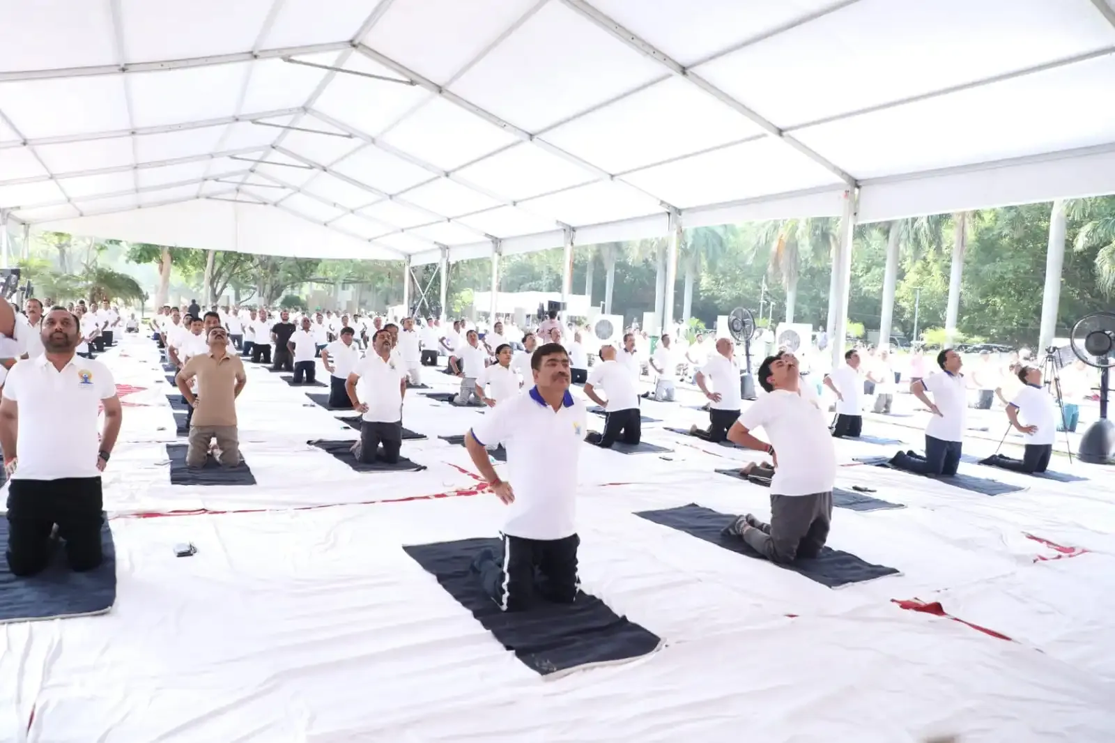 Is Yoga the Ultimate Path to Uniting Mind, Body, and Soul?