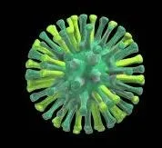 Cambodian Toddler Diagnosed with H5N1 Bird Flu