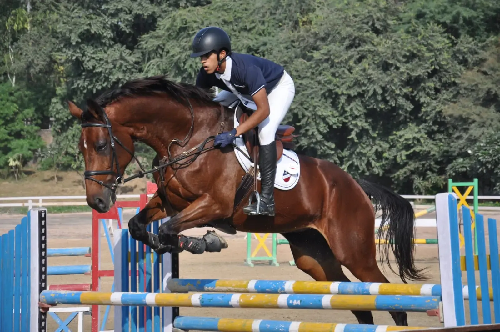 How Did Young Rider Hriday Brar Impress at the Delhi Horse Show?