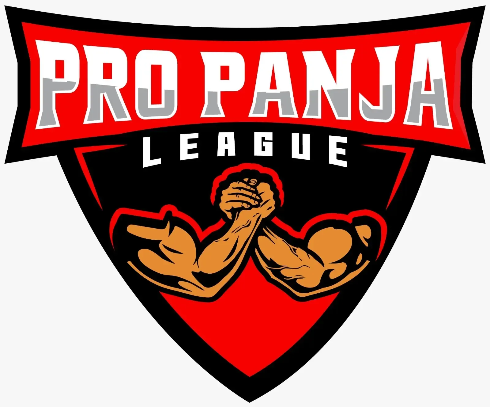 Yuvraj Verma Clinches the Title of Champion of Champions at Pro Panja League